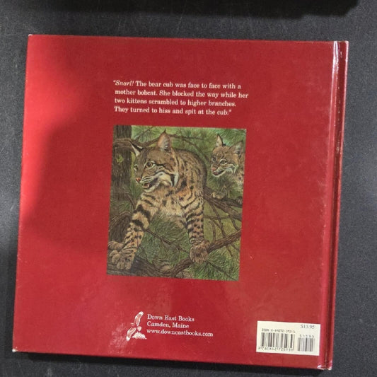 A Cub Explores Children's Book
