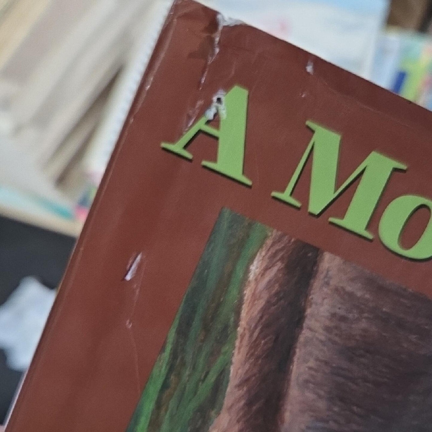 A Moose's Morning Book