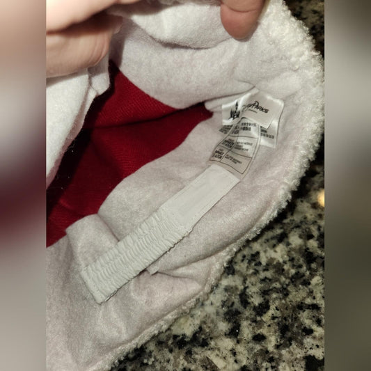 Mickey Mouse Santa Hat