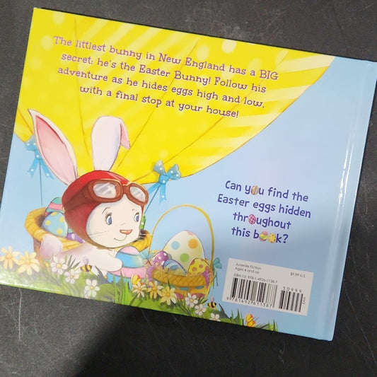 The Littlest Bunny in New England Book