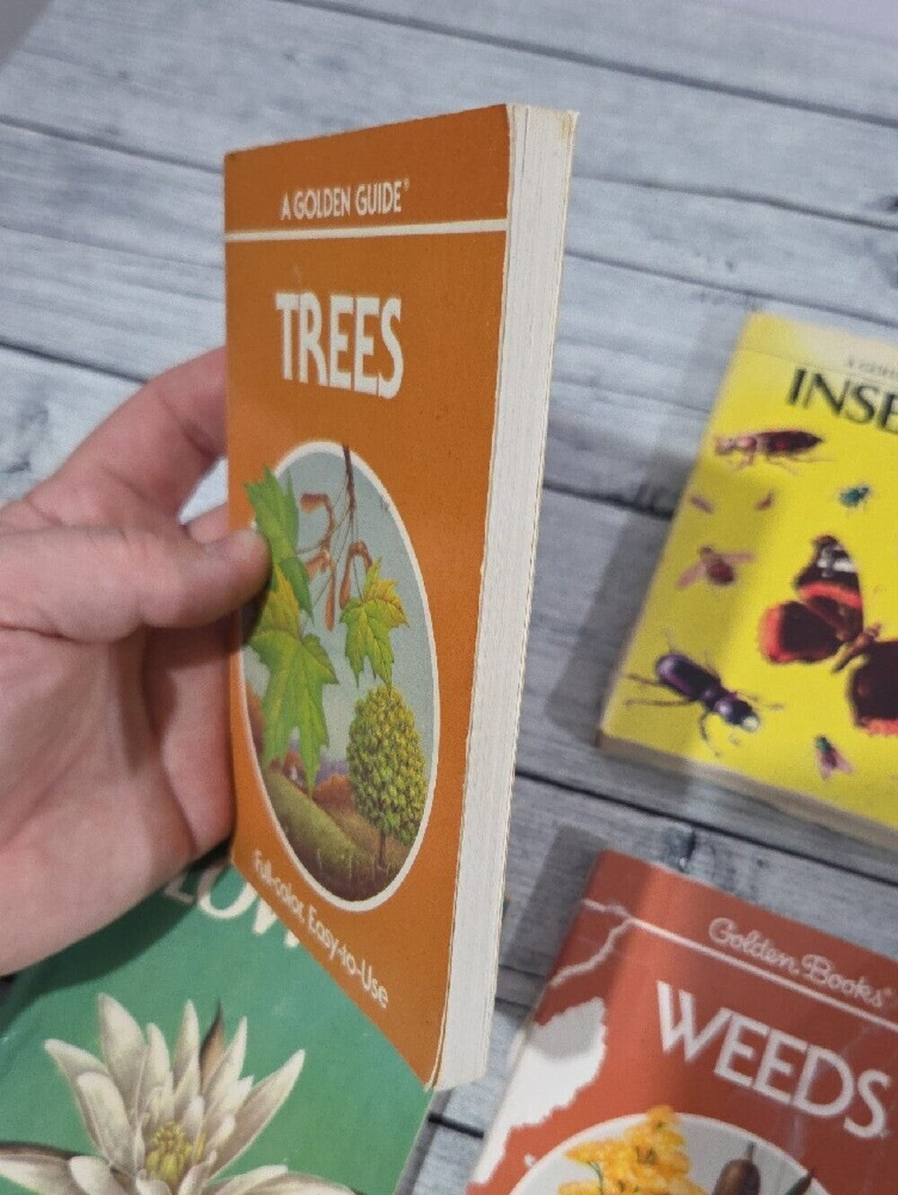Set of Vintage Golden Guides Nature Books
