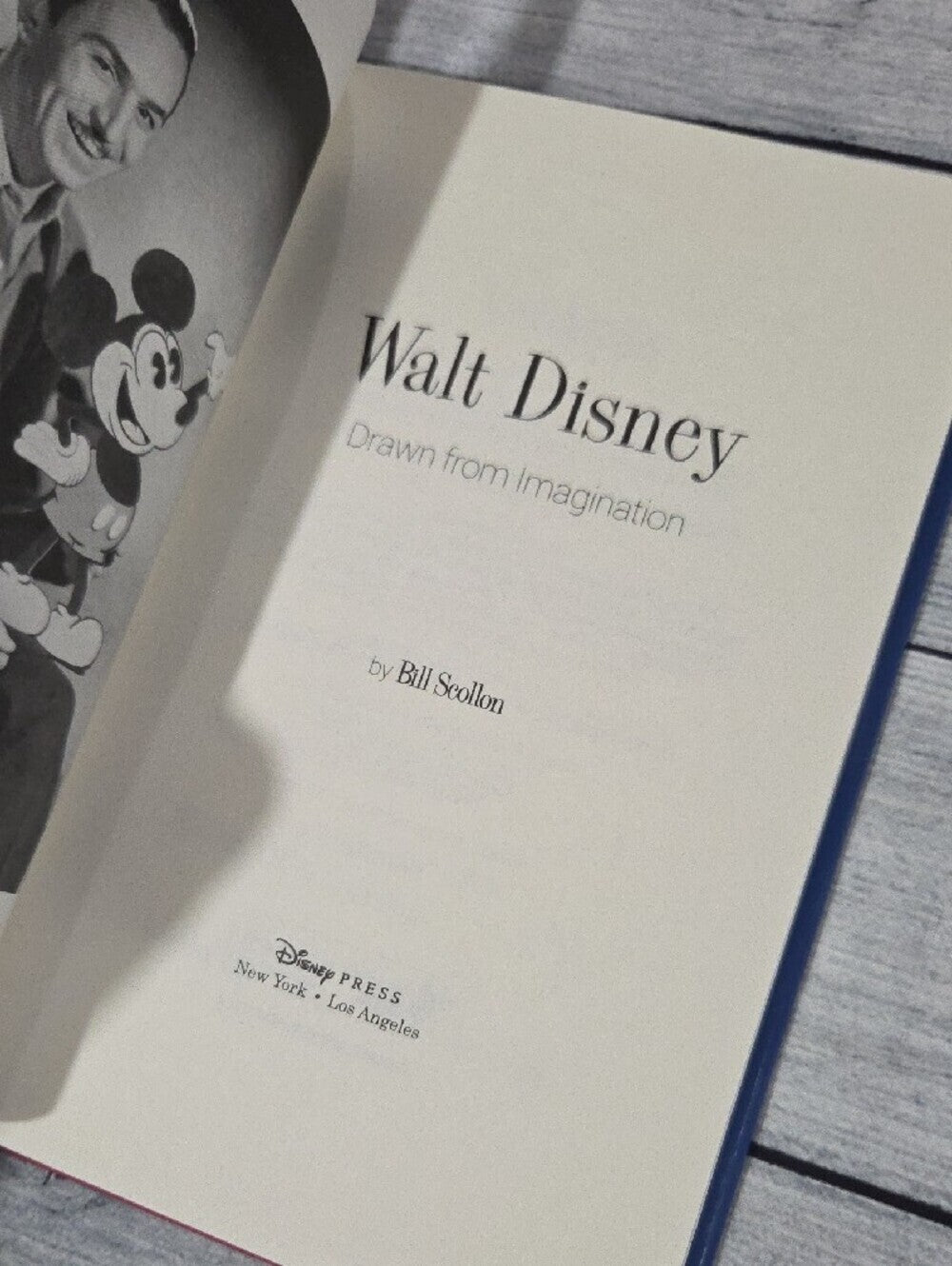 Disney Walt Disney Drawn from Imagination Book Hardcover