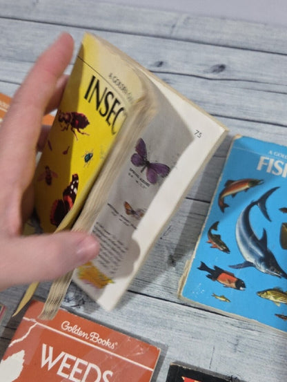Set of Vintage Golden Guides Nature Books