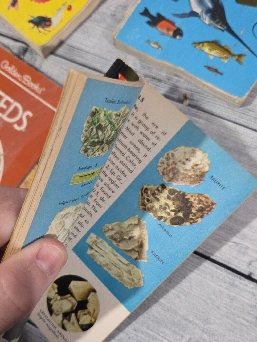 Set of Vintage Golden Guides Nature Books