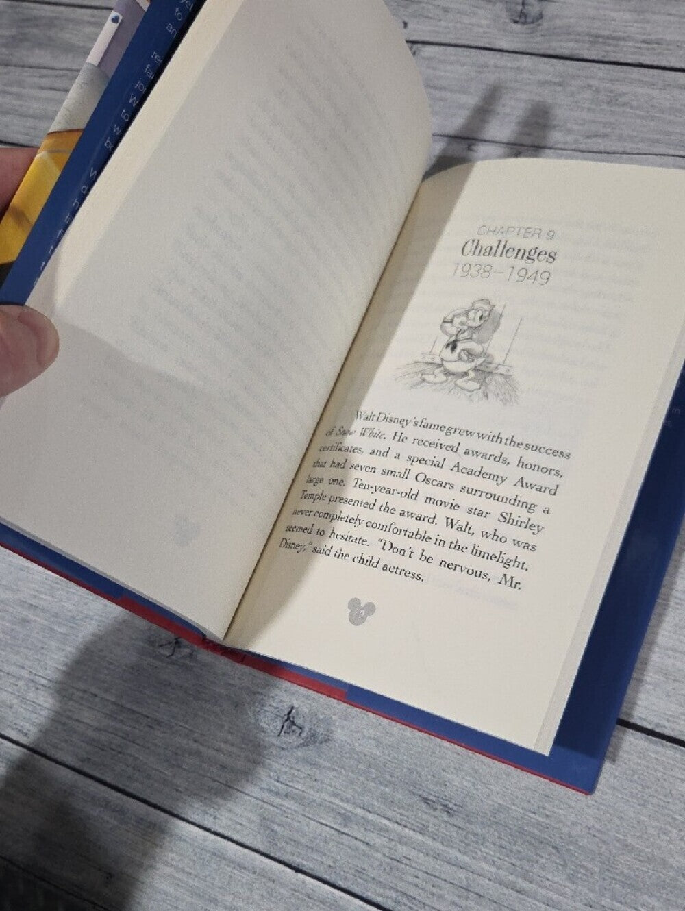 Disney Walt Disney Drawn from Imagination Book Hardcover