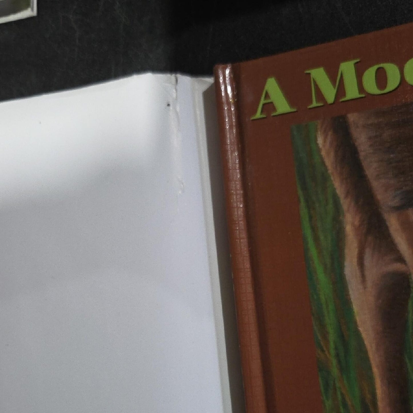 A Moose's Morning Book
