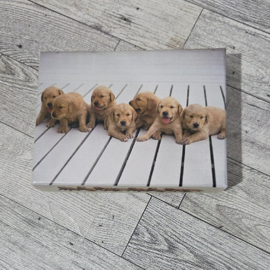Golden Retriever Puppy Note Cards