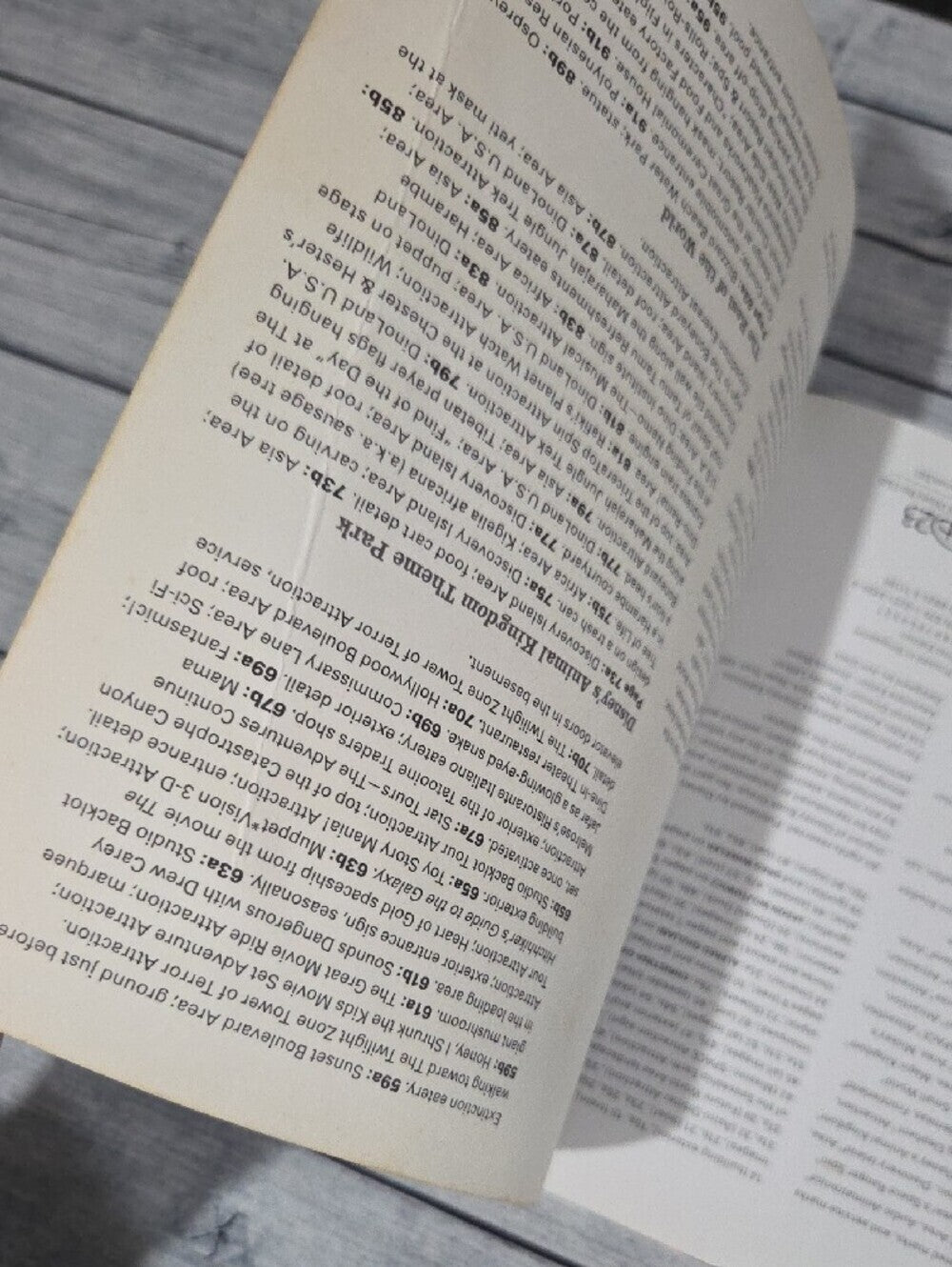 Disney In Details Scavenger Hunt Through Walt Disney World Paperback