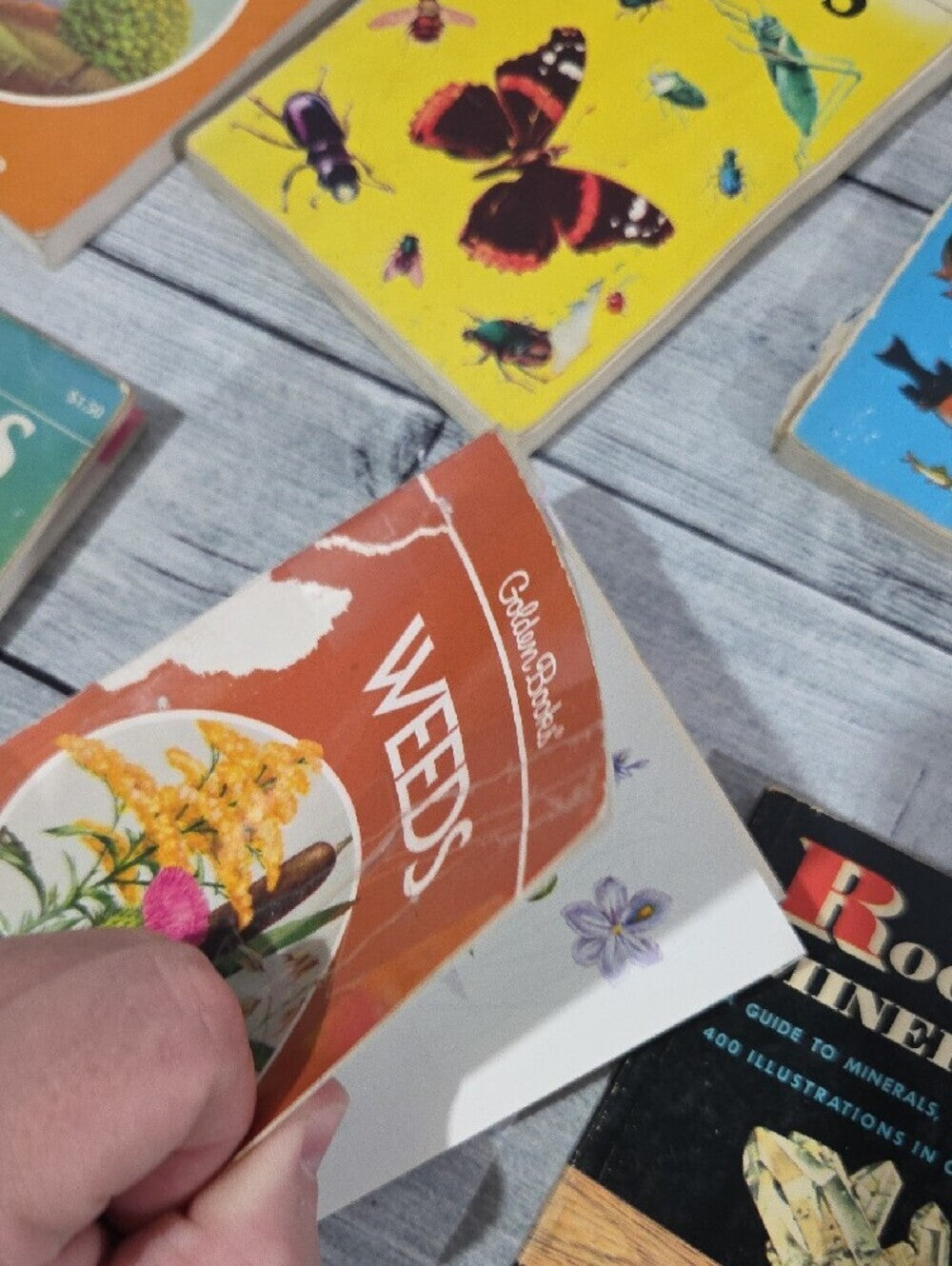 Set of Vintage Golden Guides Nature Books