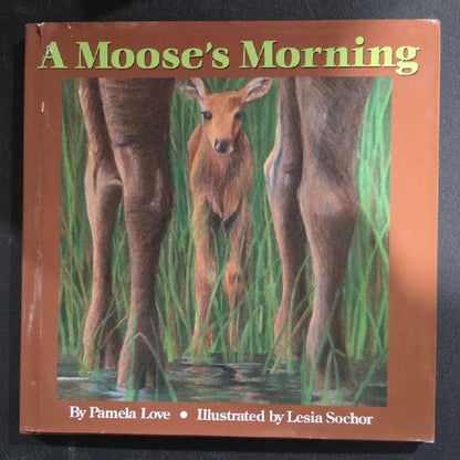 A Moose's Morning Book