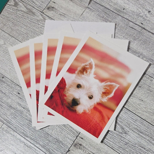 Set Of 4 Blank Note Cards