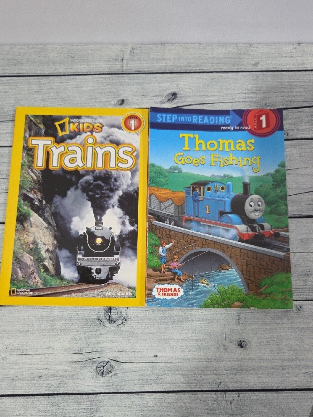 Set Of 13 Level 1 Kids Books