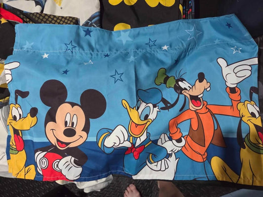 Mickey and Friends Valence