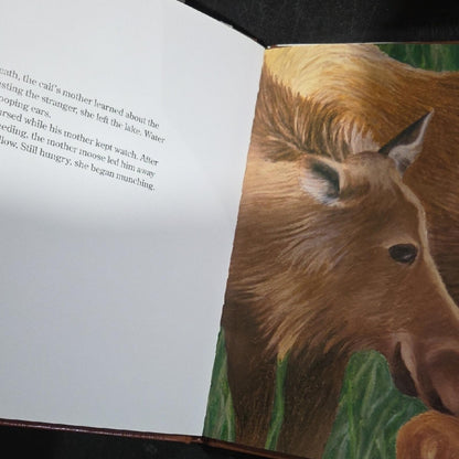 A Moose's Morning Book