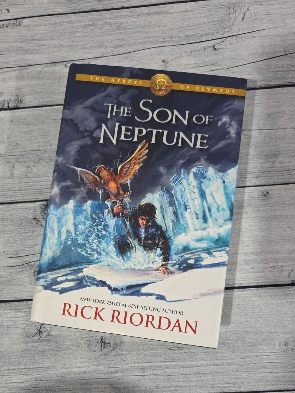 Heroes Of Olympus Book 2 The Son of Neptune by Rick Riordan Hardcover