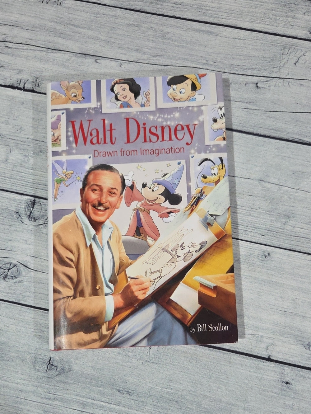 Disney Walt Disney Drawn from Imagination Book Hardcover