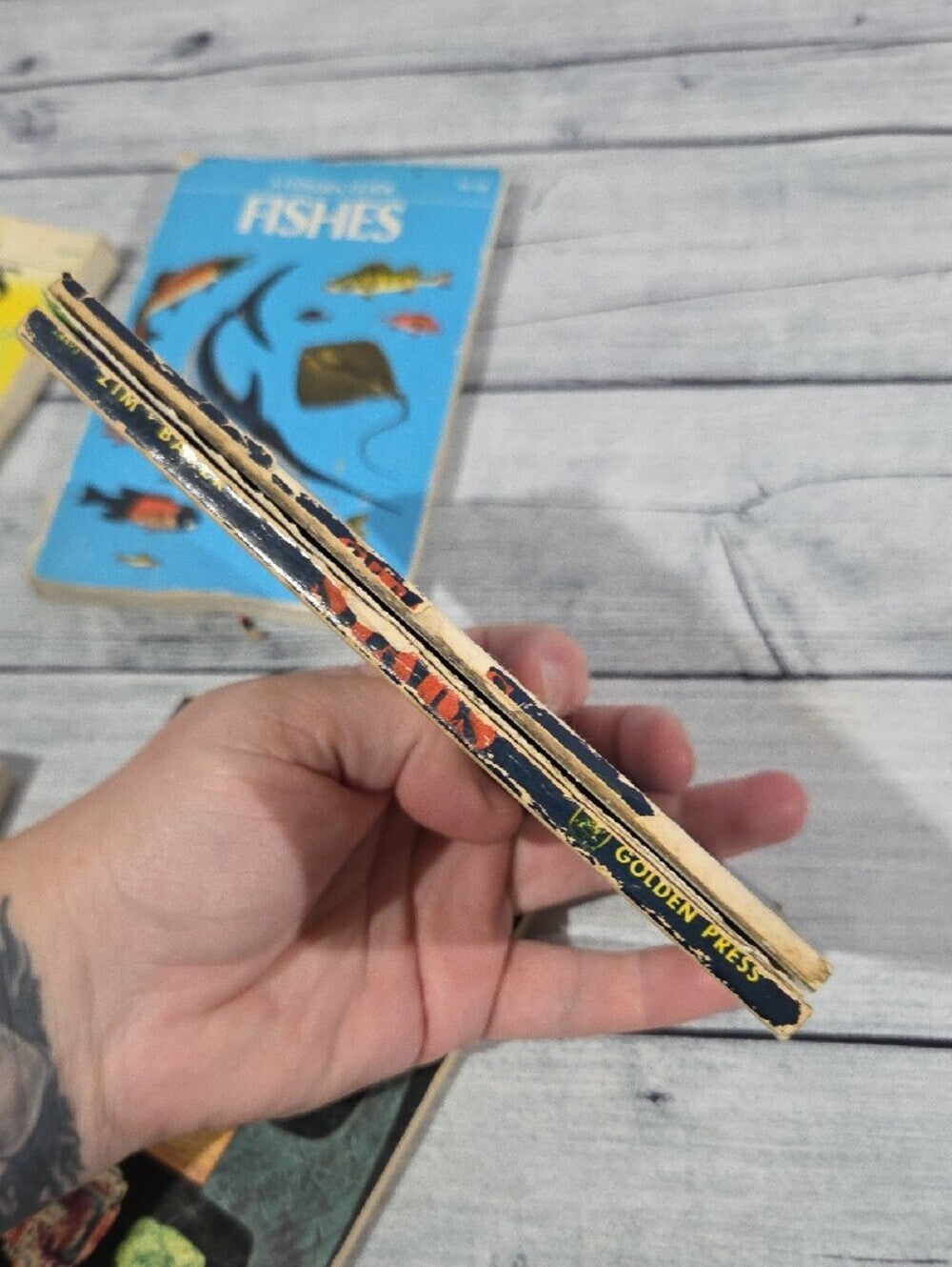 Set of Vintage Golden Guides Nature Books