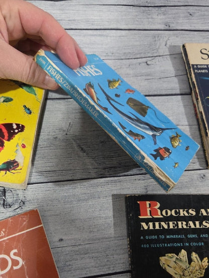 Set of Vintage Golden Guides Nature Books