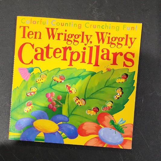 Set Of 2 Childrens Counting Books