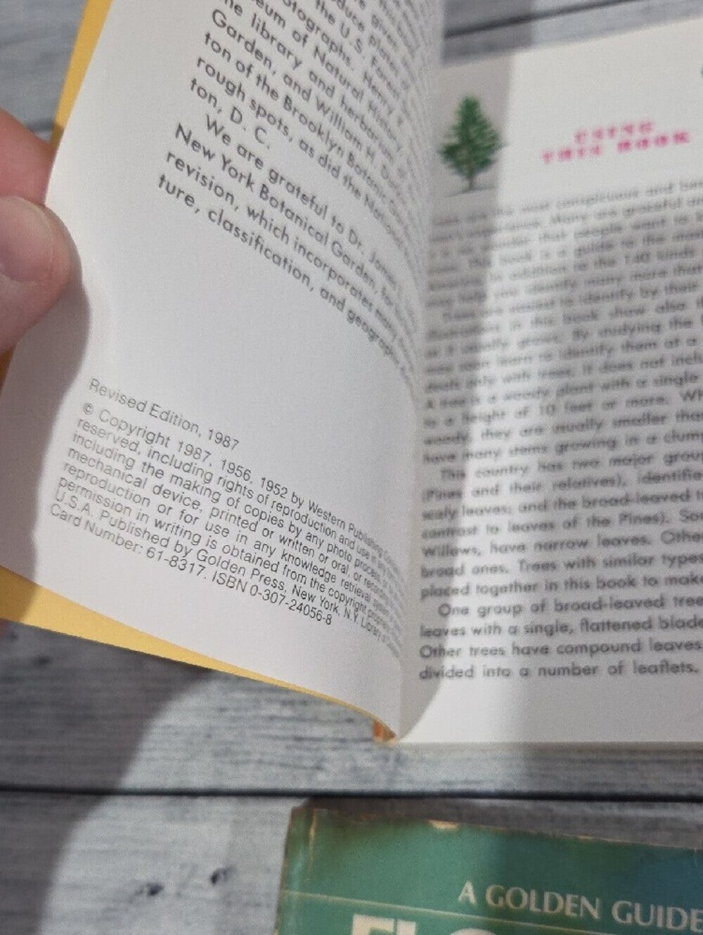 Set of Vintage Golden Guides Nature Books