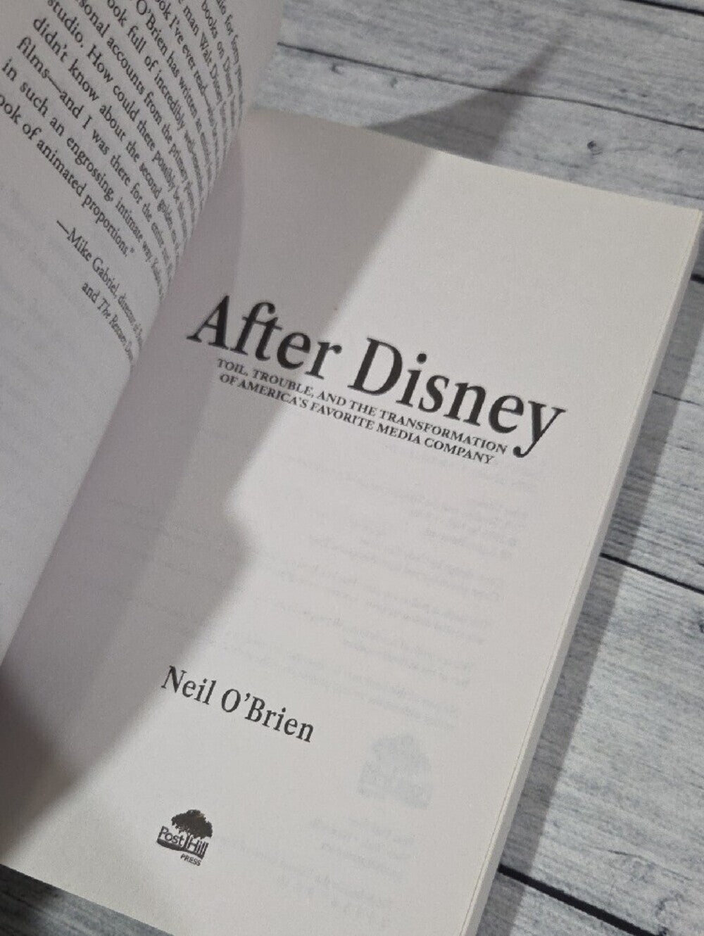 After Disney Hardcover