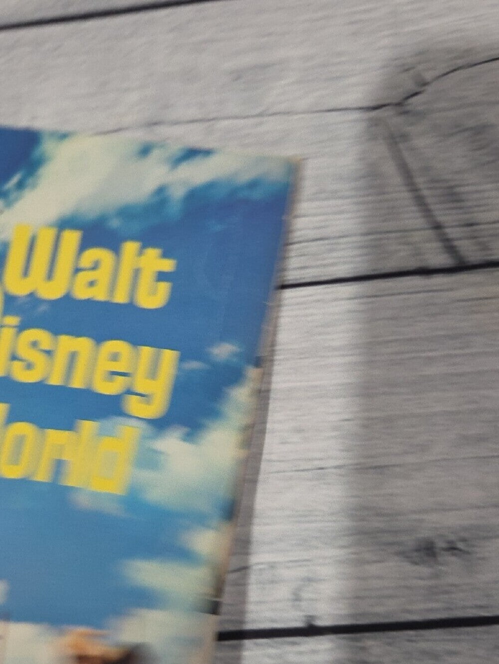Disney Walt Disney World Pictorial Souvenir Book Paperback
