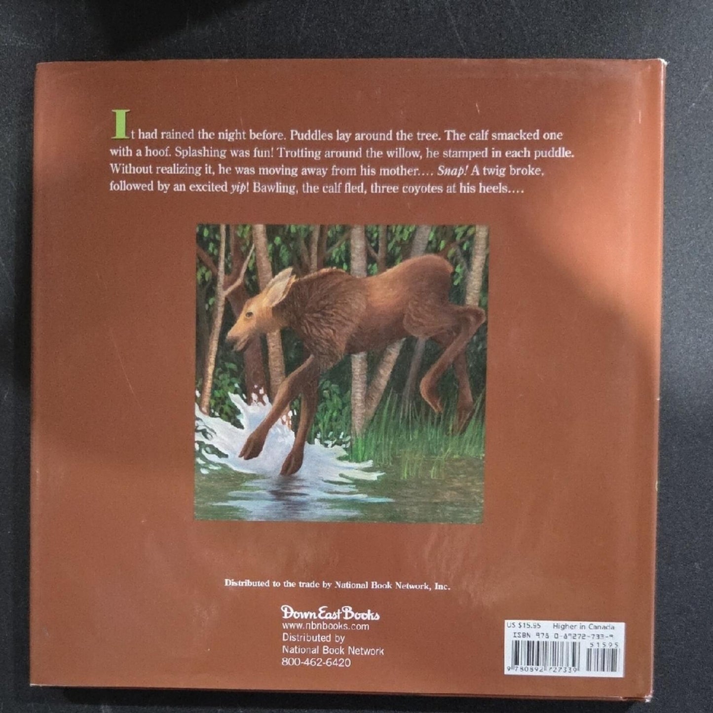 A Moose's Morning Book