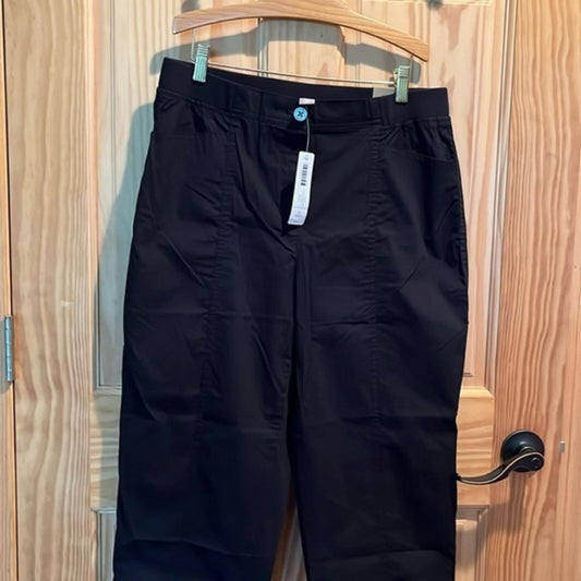 Chicos Pants 1R S