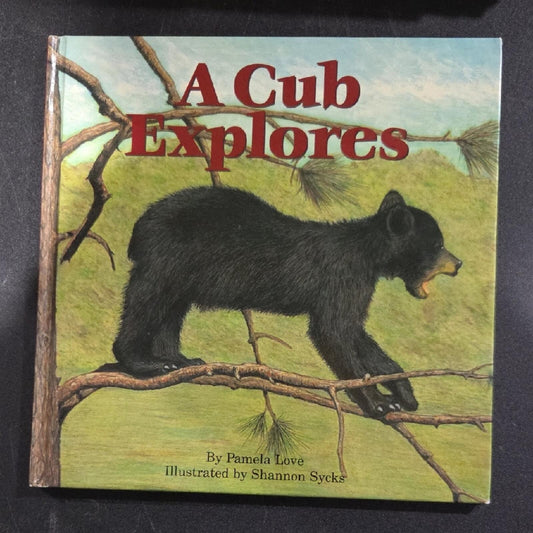 A Cub Explores Children's Book