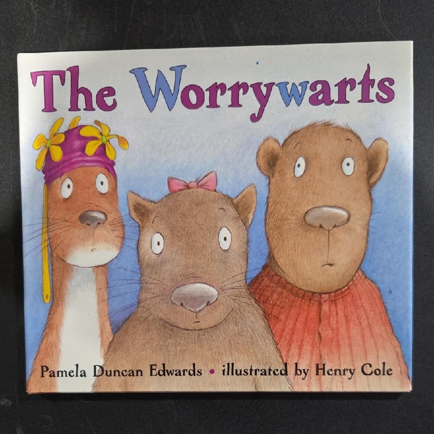 The Worrywarts Children's Book