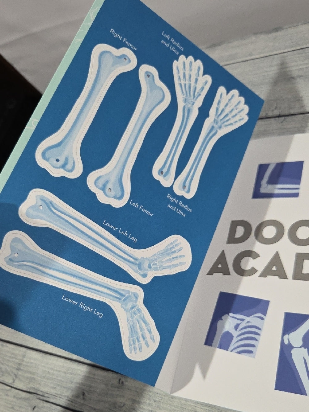 Doctor Academy Children's Book