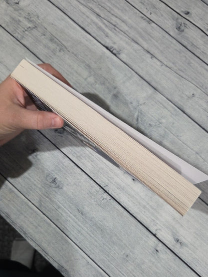 After Disney Hardcover