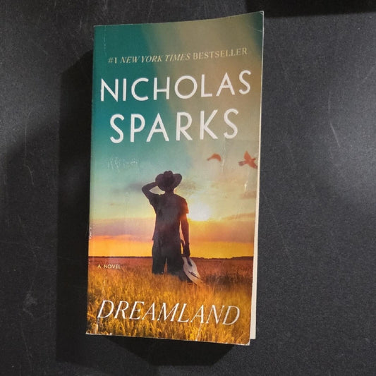 Dreamland by Nicholas Sparks Paperback