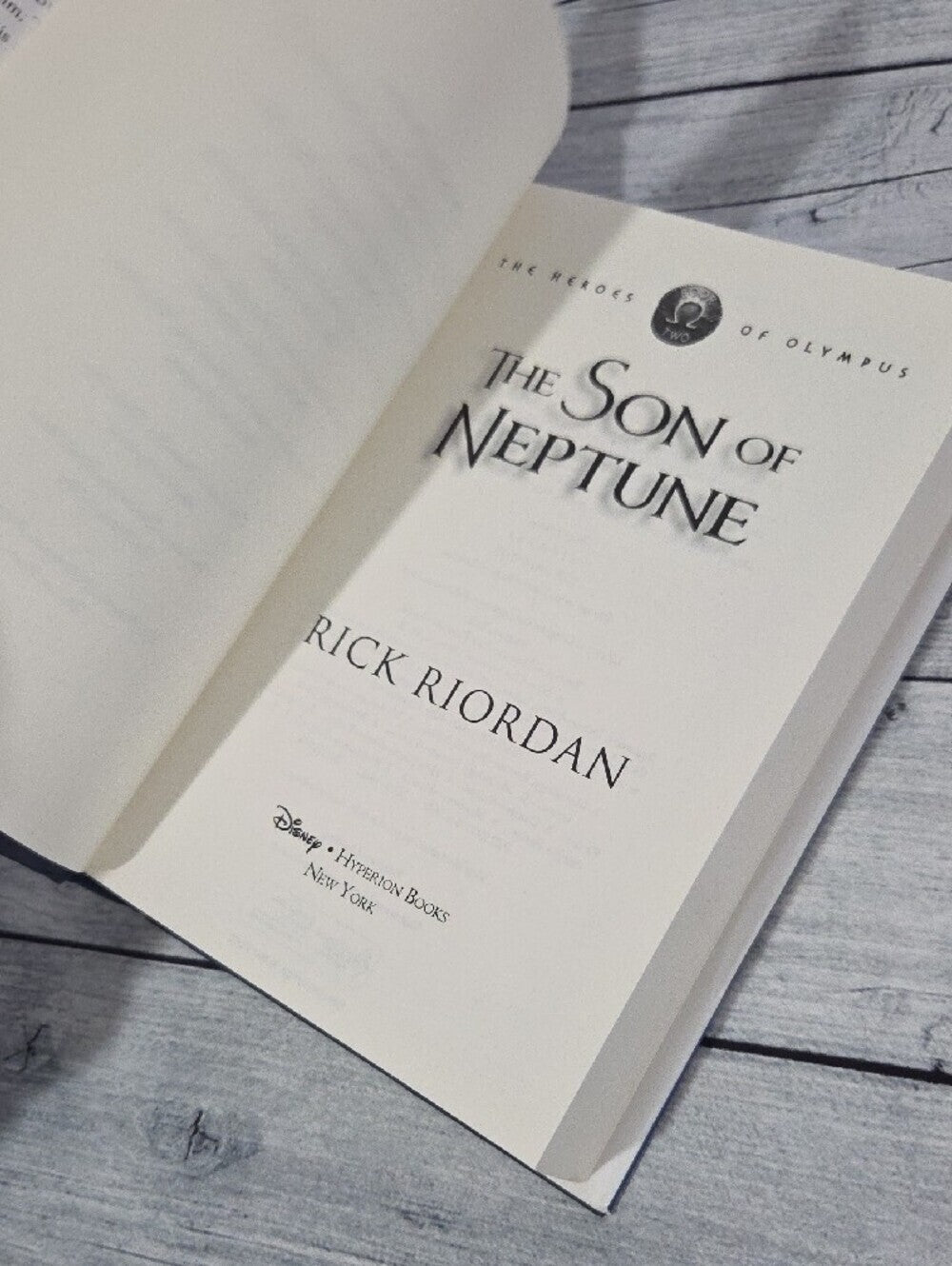 Heroes Of Olympus Book 2 The Son of Neptune by Rick Riordan Hardcover