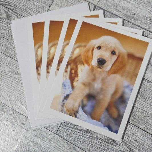 Set Of 4 Blank Note Cards