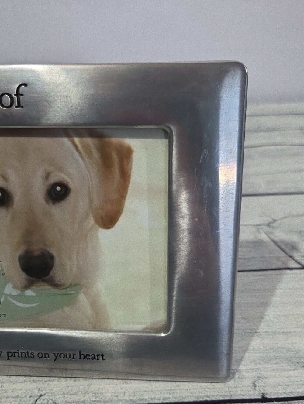 Fetco Silver Polished Dog 4x6 Photo Frame
