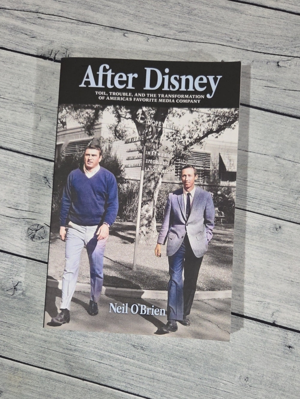 After Disney Hardcover