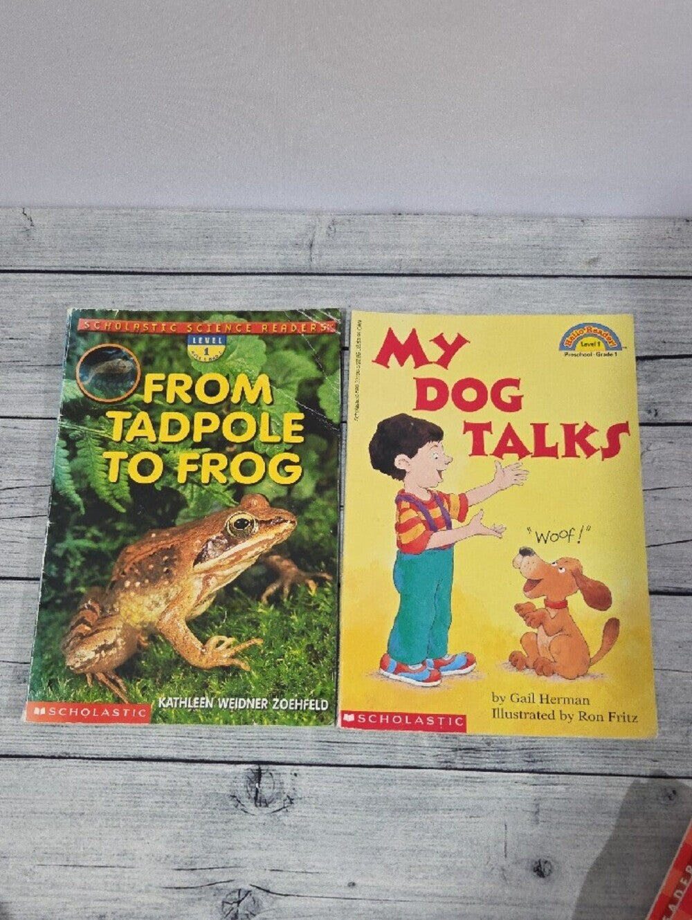 Set Of 13 Level 1 Kids Books