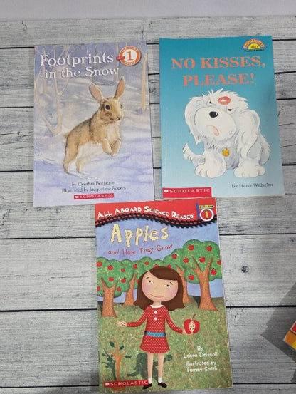 Set Of 13 Level 1 Kids Books