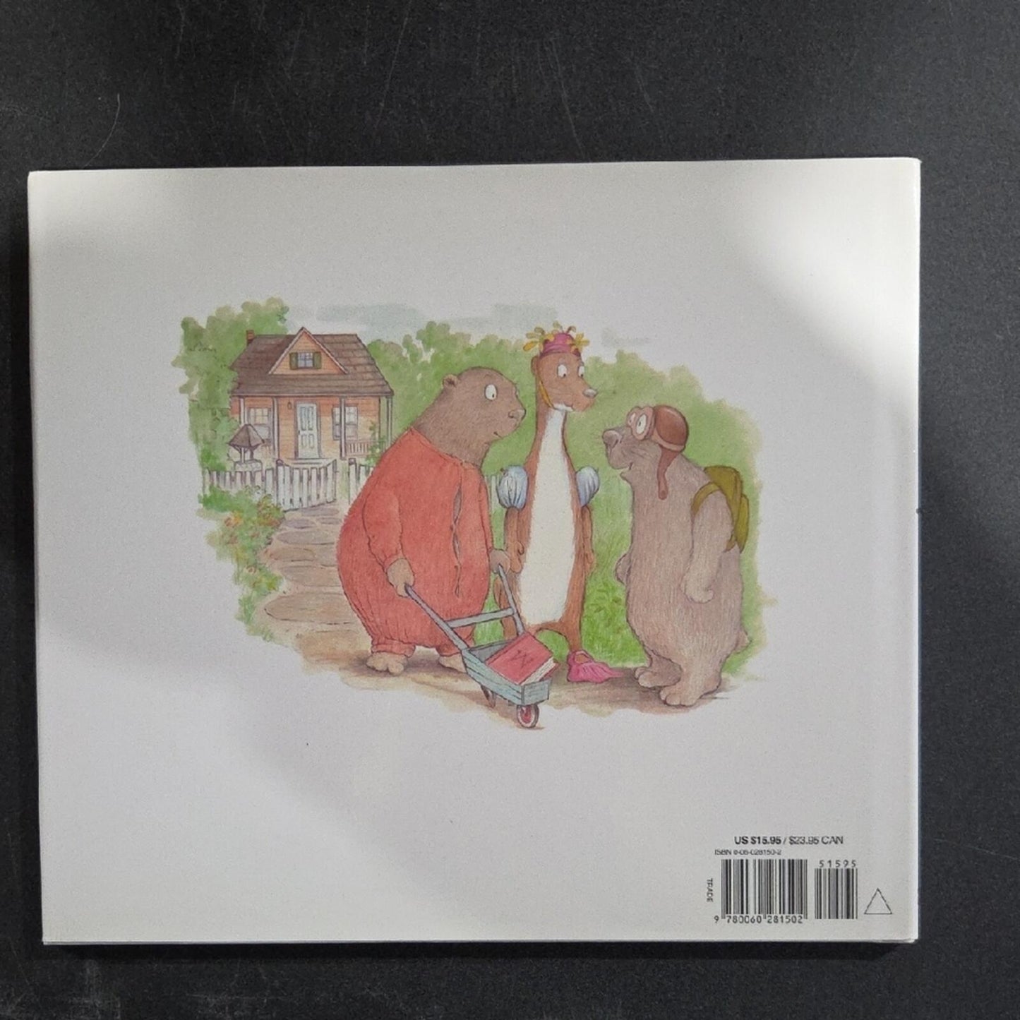The Worrywarts Children's Book